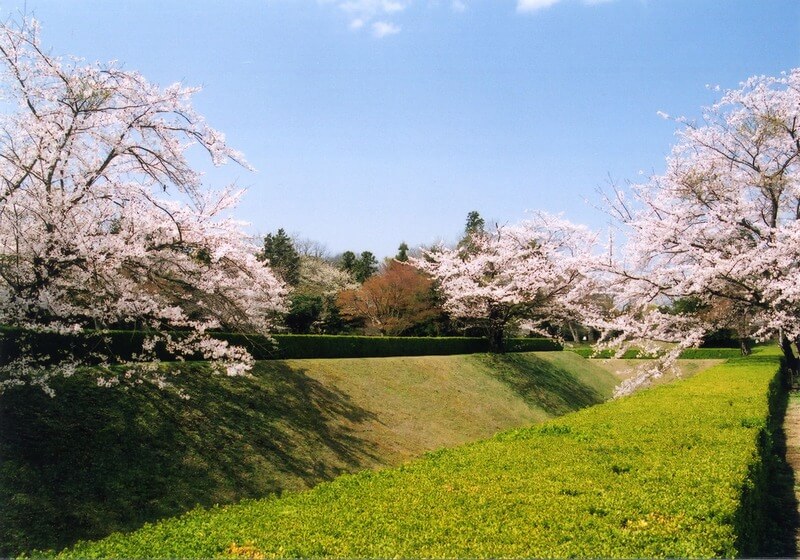 佐倉城址公園